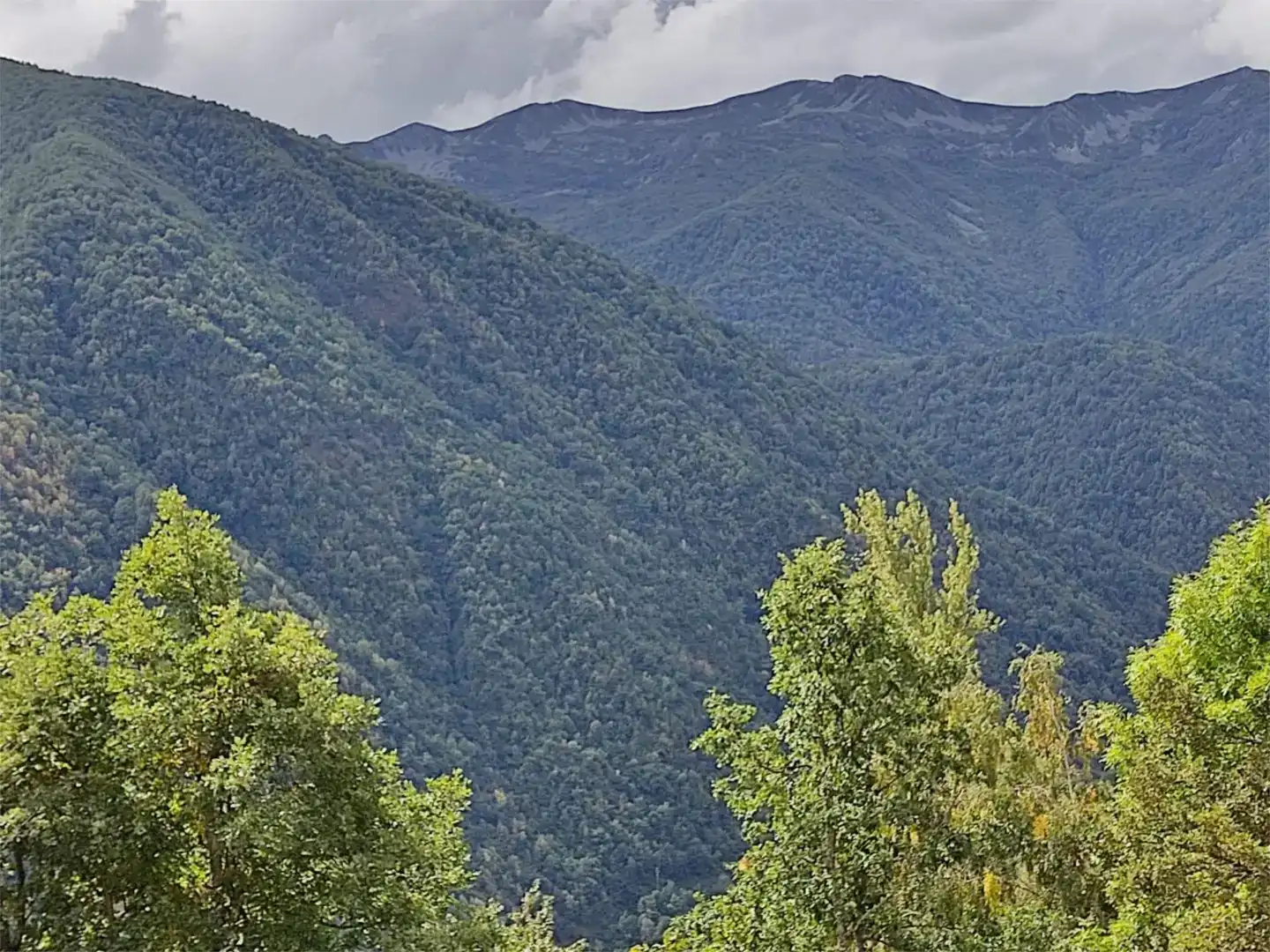 Vista exterior de Finca rústica en venda en Palacios del Sil