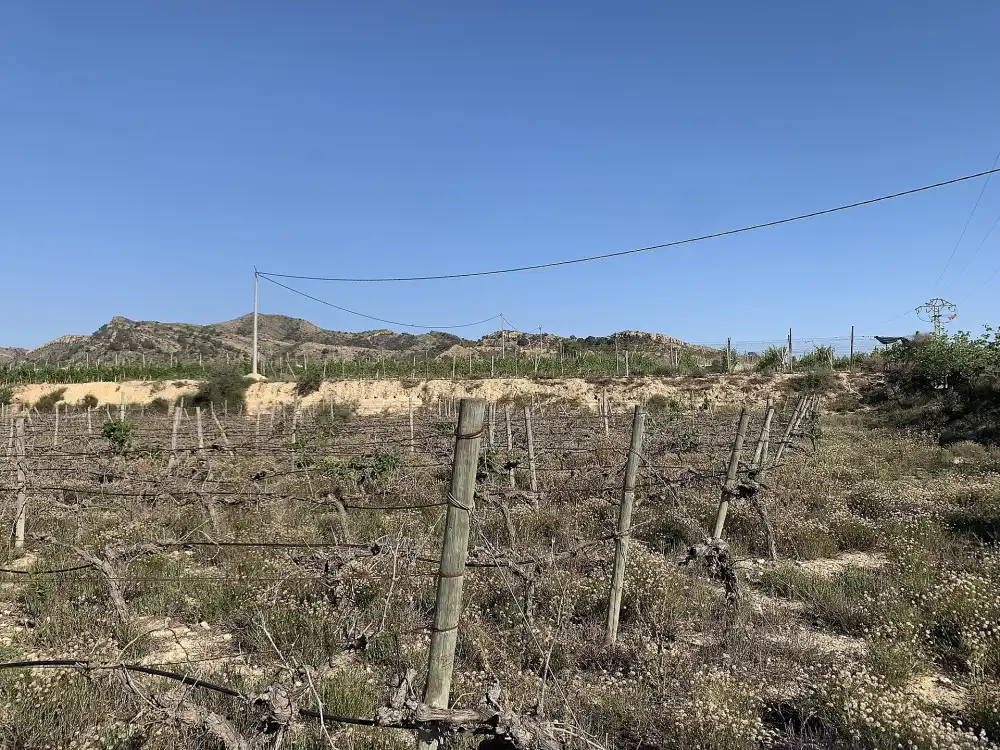 Terreno residencial en venta en Monforte del Cid, imagen 15