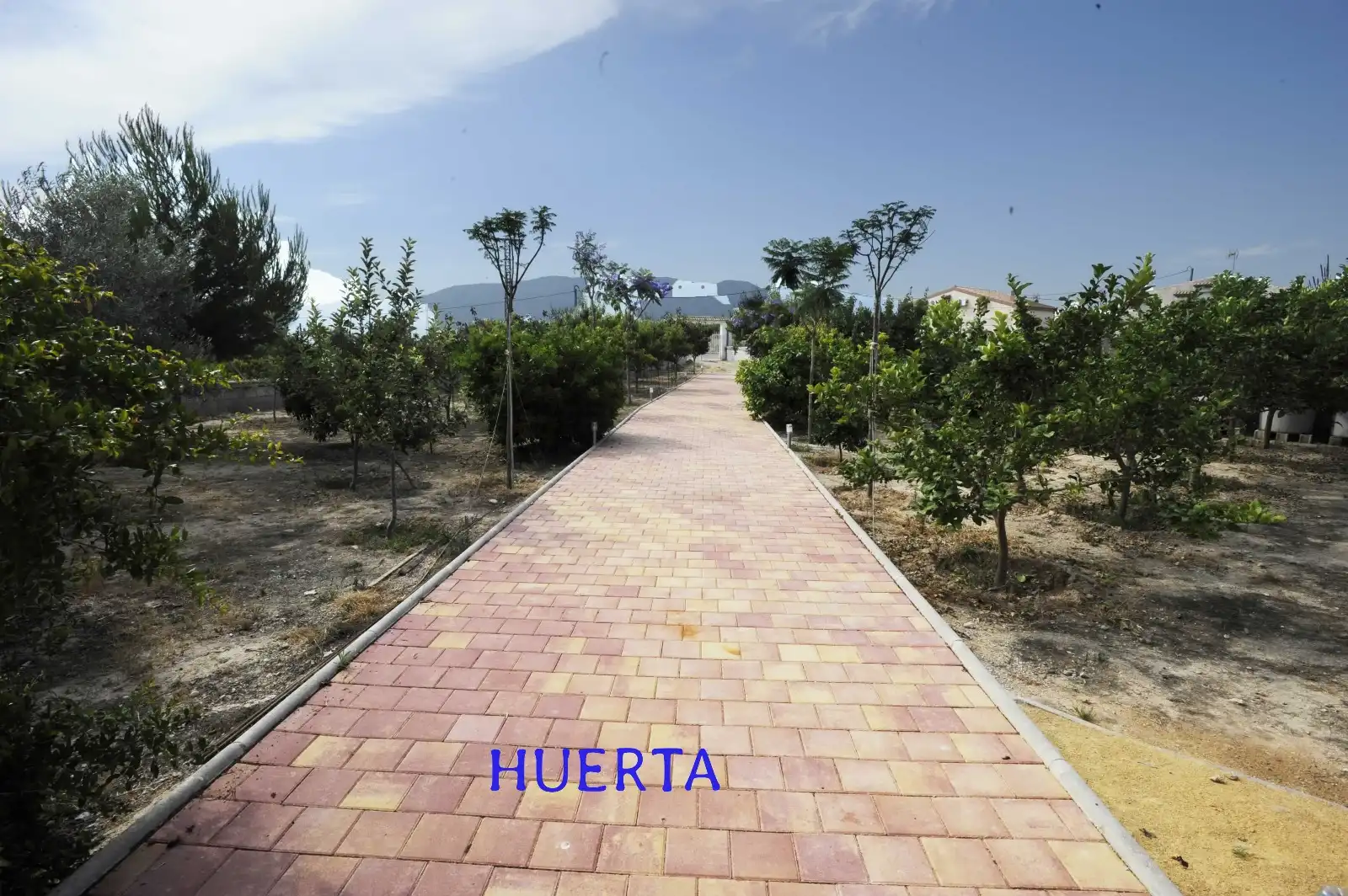 Villa con giardino in vendita a Calle Montalbán, imagen 24