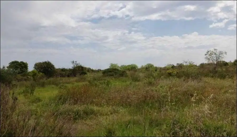 Terreny residencial en venda a Plaça Poligono 12 696, imagen 2