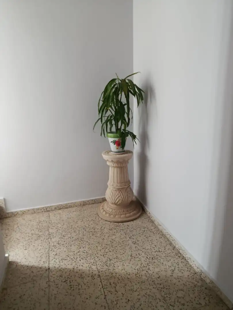 Piso en venta en Castellón de la Plana / Castelló de la Plana con Amueblado, Horno y Lavadora
