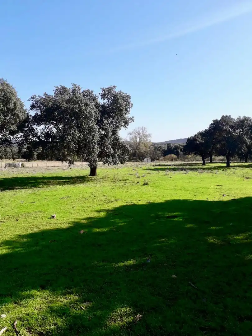 Rural land for sale in Fuente Obejuna, imagen 25