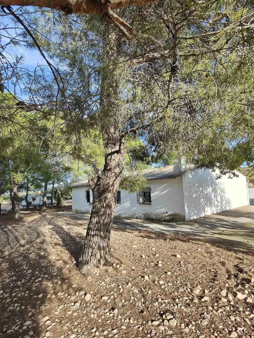 Vista exterior de Casa o xalet en venda en Yecla amb Jardí privat, Terrassa i Piscina