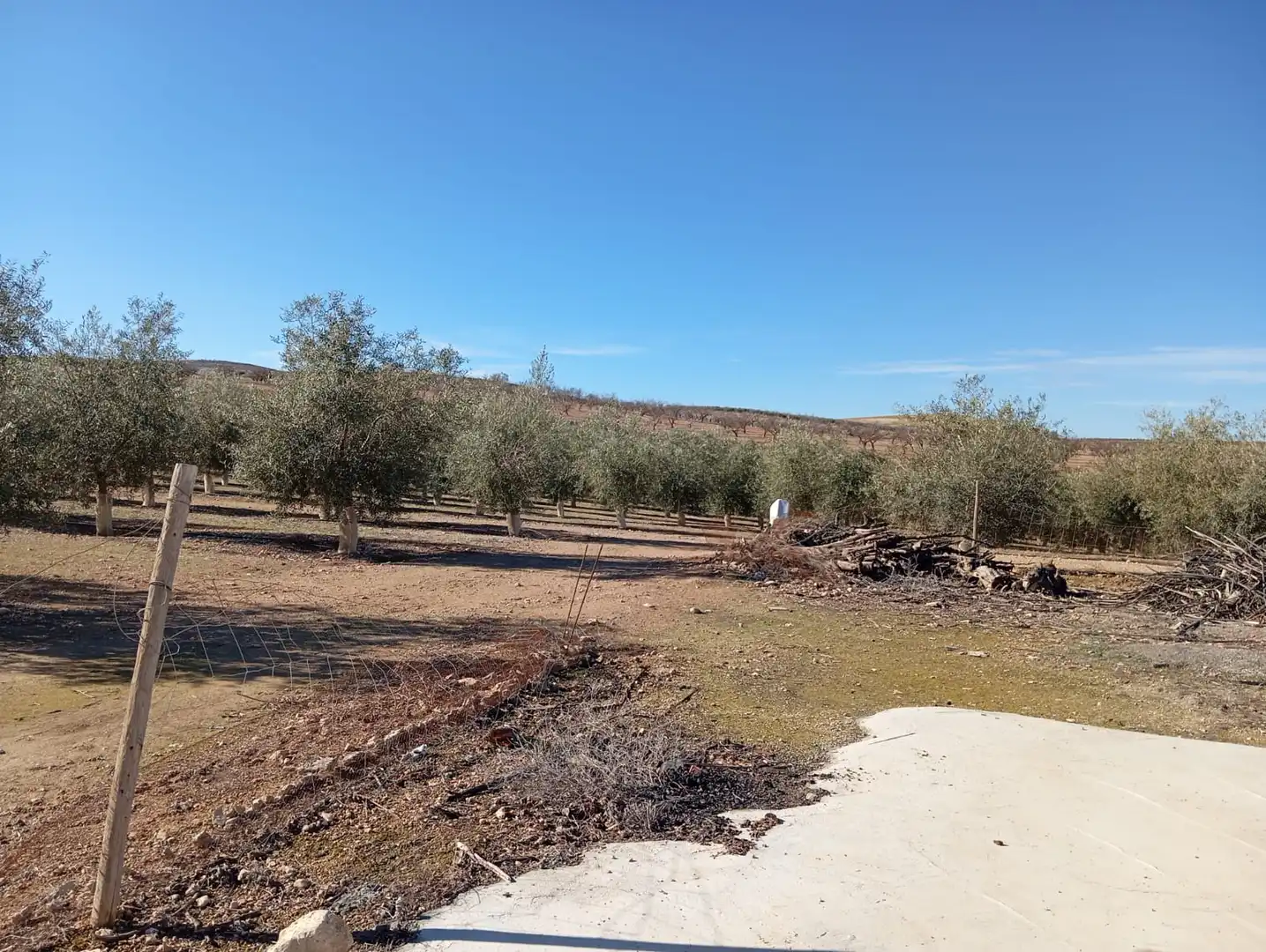 Terreno rústico en venta en Ventas de Huelma, imagen 13