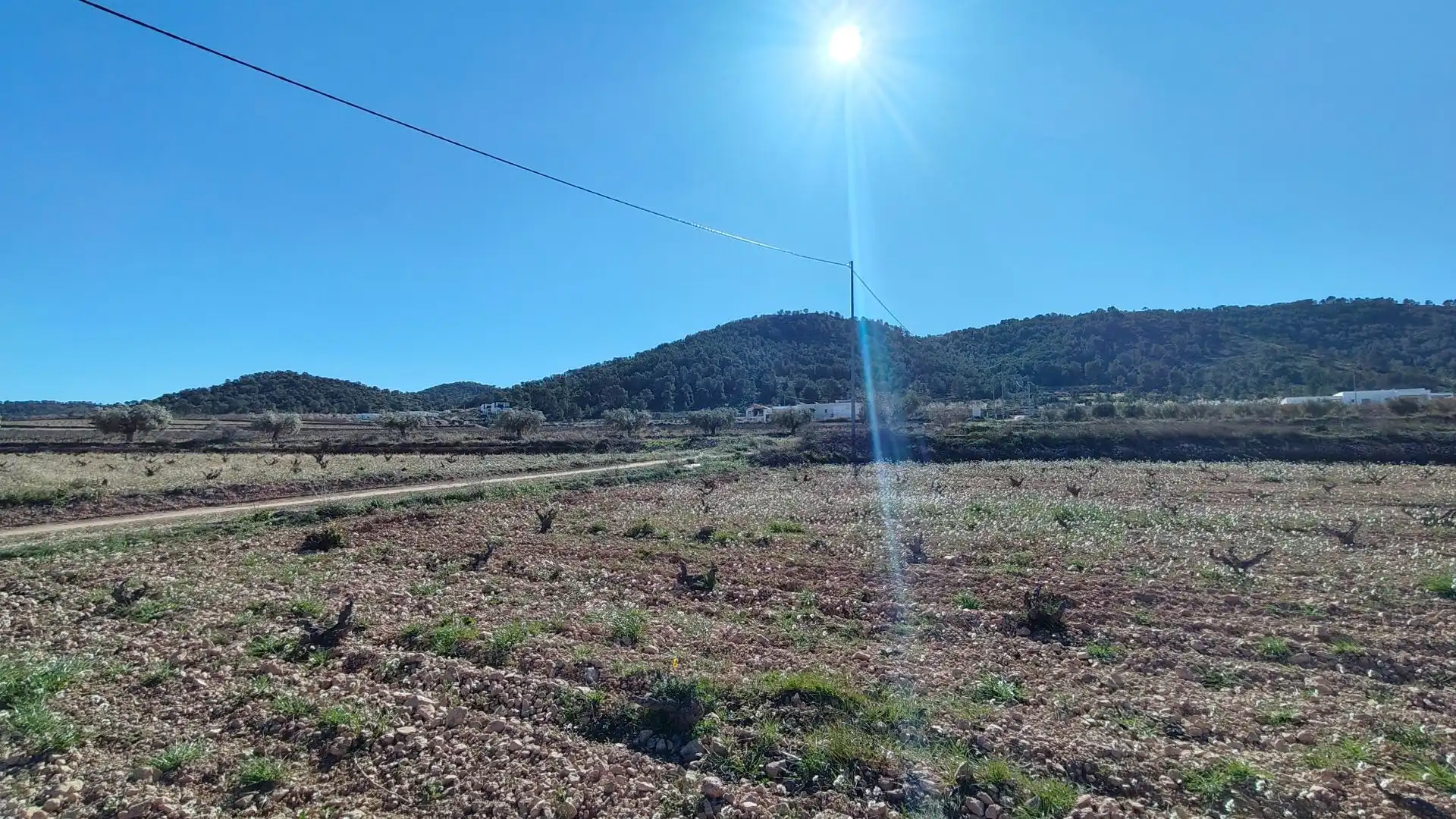 Lands and plots for sale in Abanilla