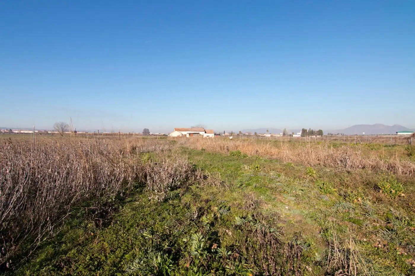 Land for sale in Granada
