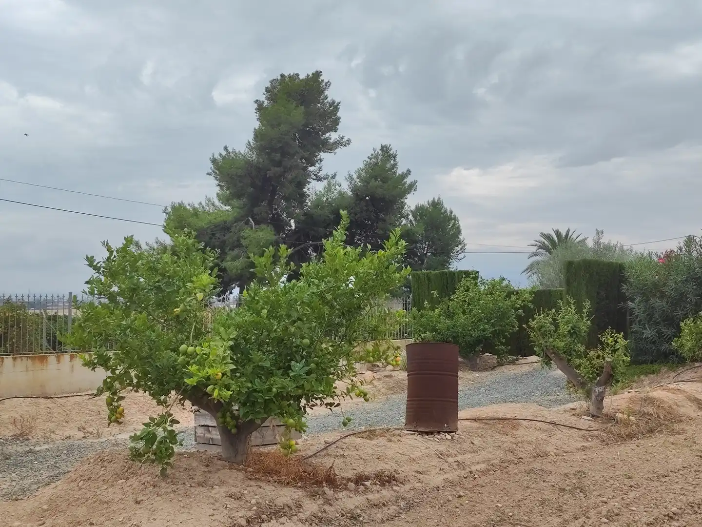 Villa con terrazza in vendita a Totana, imagen 93