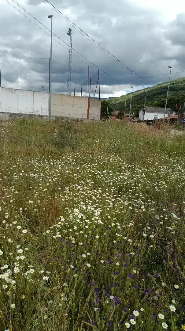 Finca rústica en venda en Cabezuela del Valle