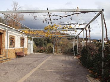 Casa rústica amb jardí en venda a Calle Humilladero 3