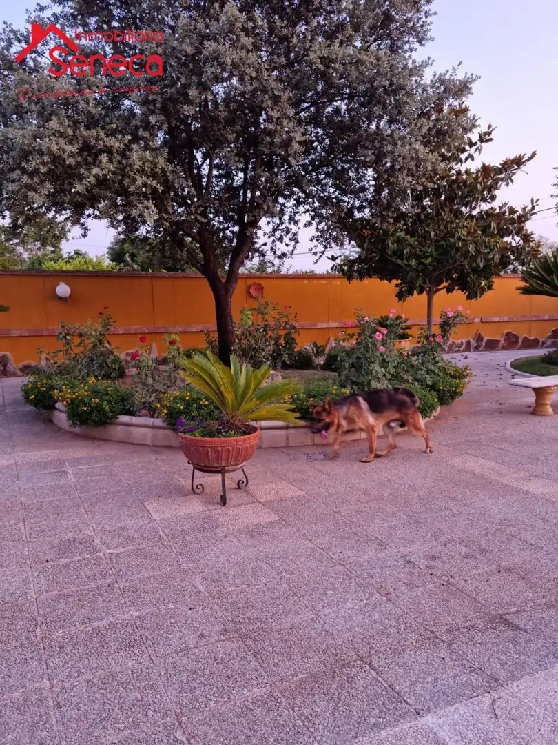 Garten von Grundstücke zum Verkauf in Córdoba