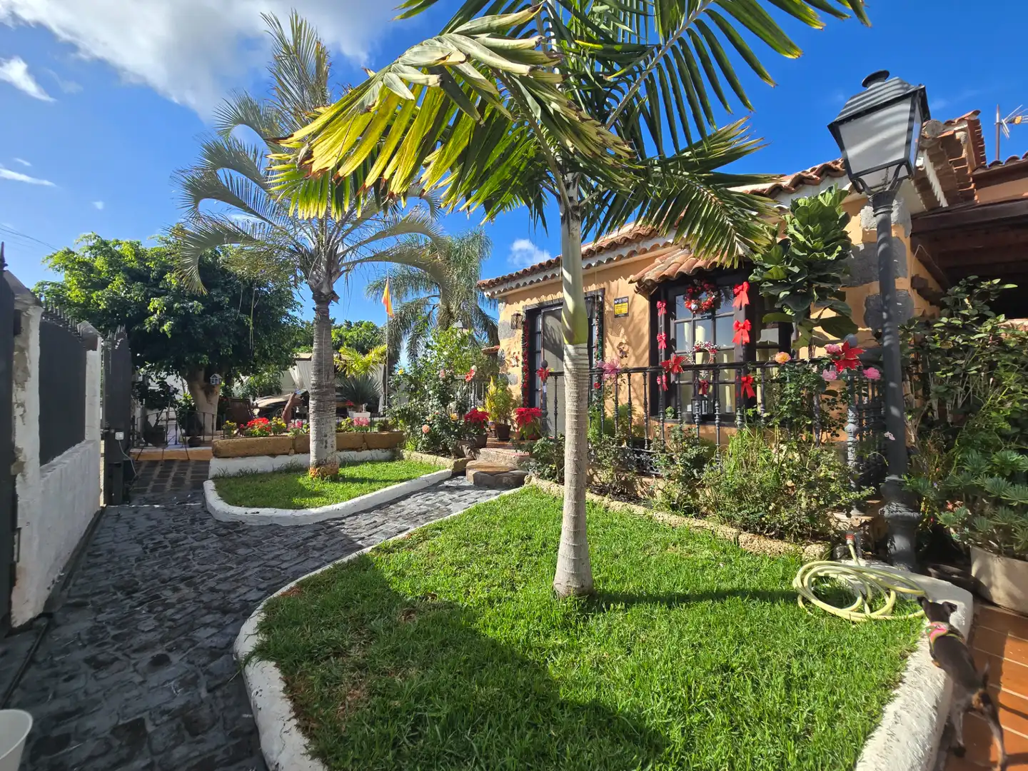 Jardí de Casa o xalet en venda en Arona amb Aire condicionat, Jardí privat i Parquet