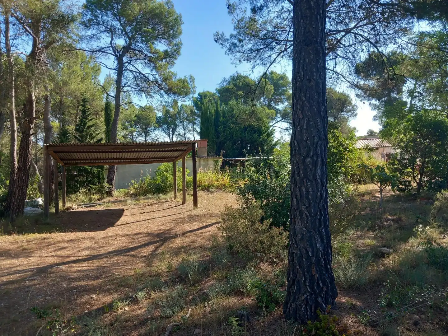 House with garden for sale in Torrelles de Foix, imagen 35