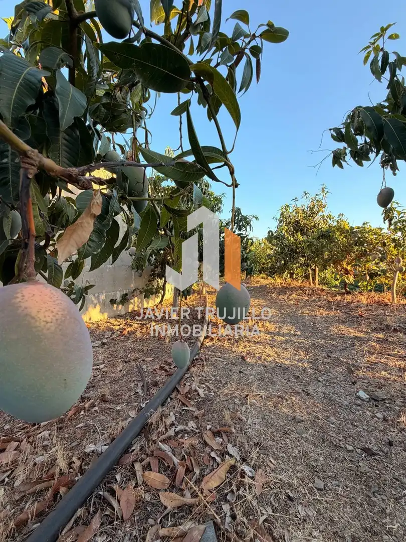 Country house for sale in Vélez-Málaga ciudad, imagen 10
