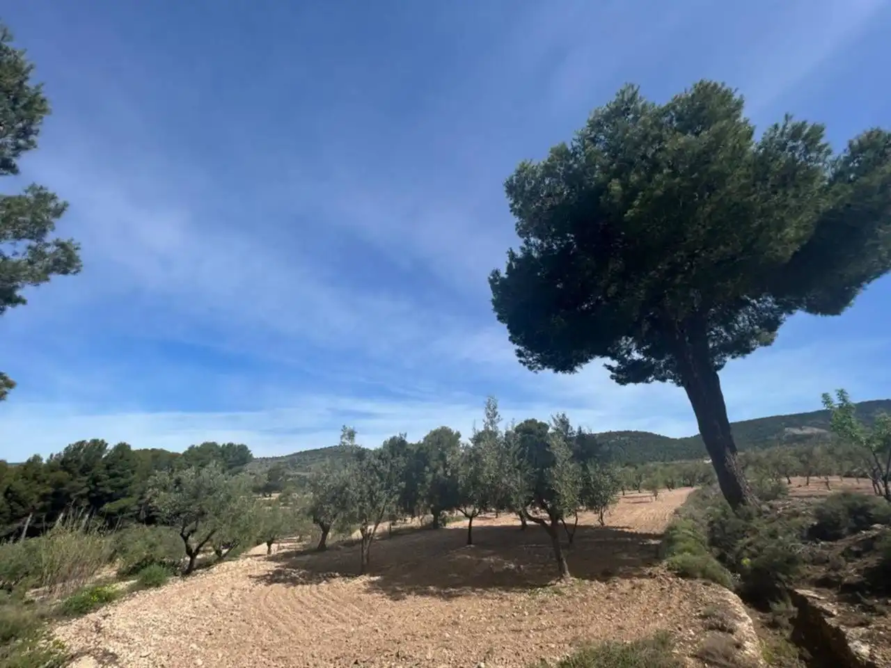 Chalet con jardín en venta en Calle Poligono, imagen 124