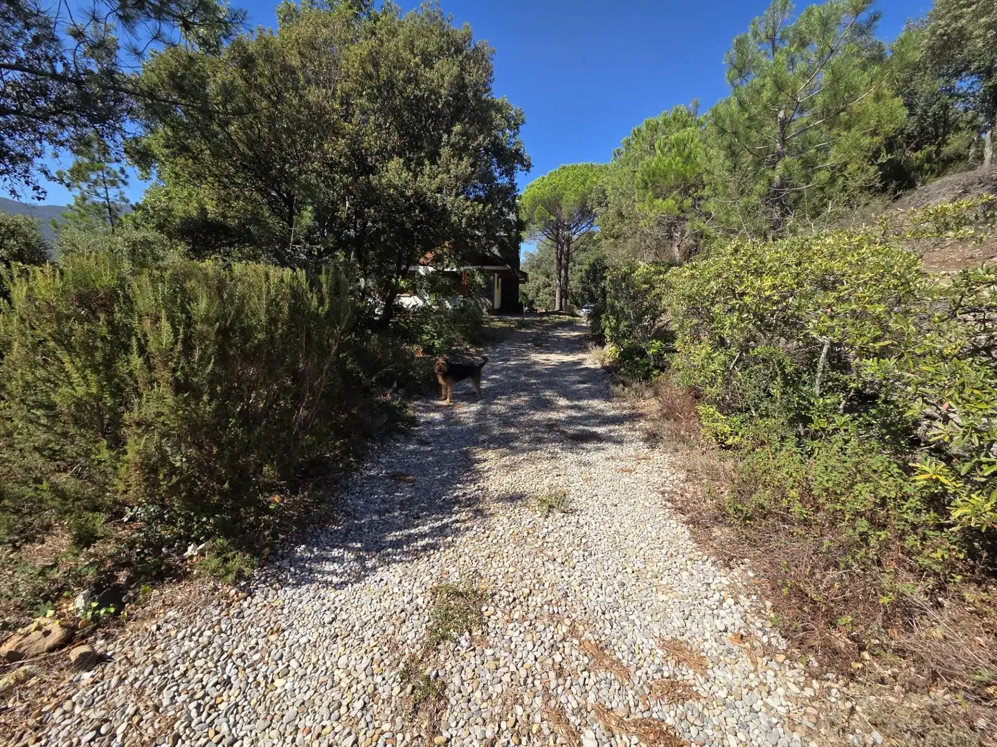 Casa con terraza en venta en Fogars de Montclús, imagen 2