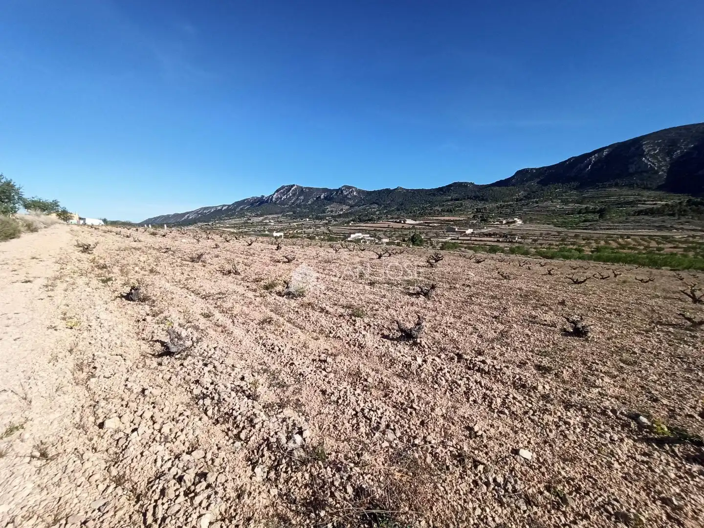 Terrain rustique à vendre à Algueña, imagen 2