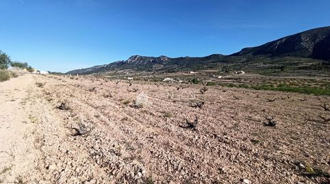 Foto 2 de Terreny en venda a Algueña, Alicante