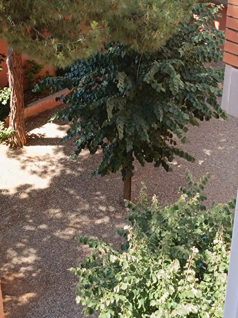 Flat with terrace for sale in Carrer de Paco Mutlló, imagen 52