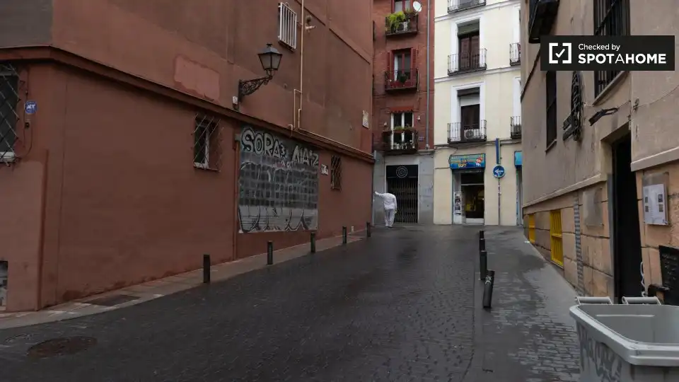 Piso en alquiler en Centro, imagen 19