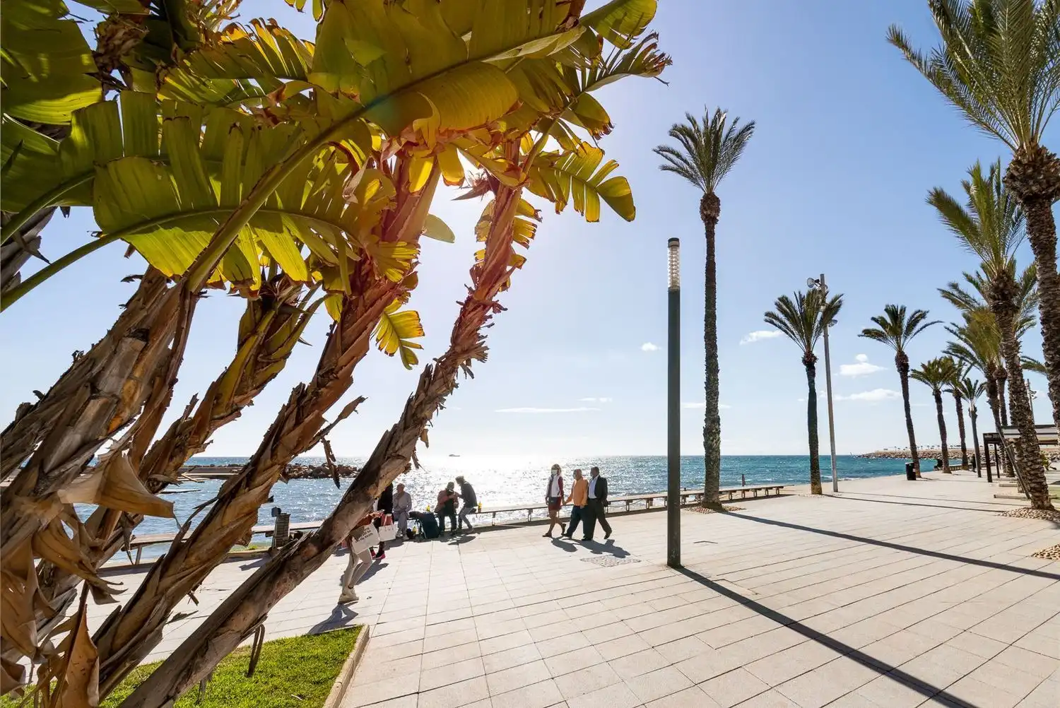 Vista exterior de Ático en venta en Torrevieja con Aire acondicionado y Terraza