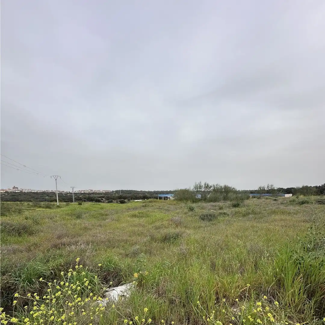Terreni e lotti in vendita a Malpartida de Plasencia, imagen 4