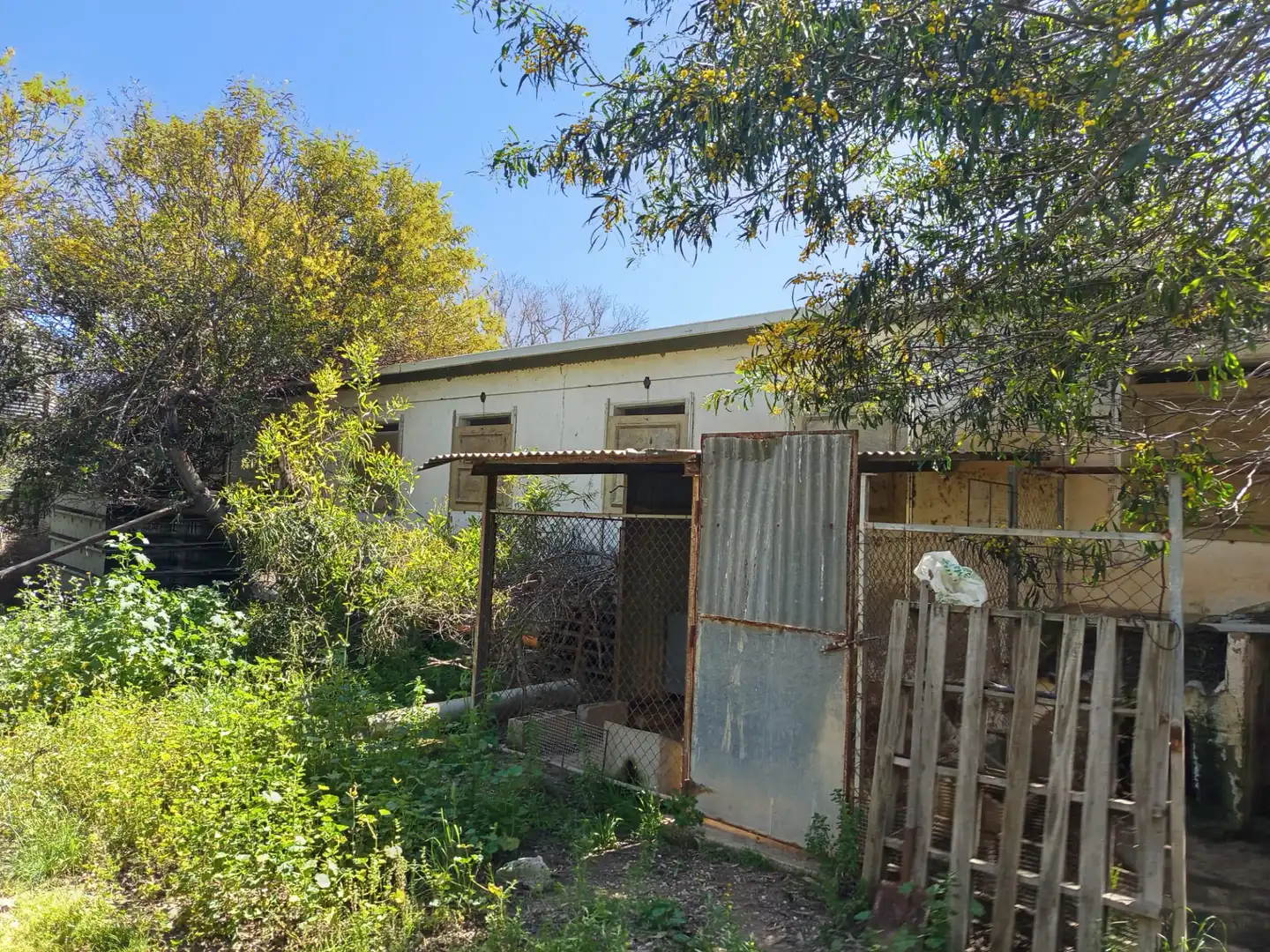 Vista exterior de Nave industrial en venta en Fuente Álamo de Murcia