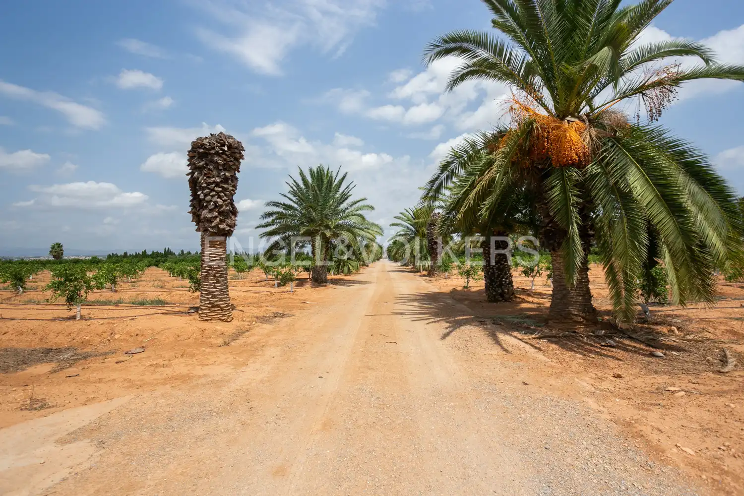 House with terrace for sale in Gallipont, imagen 95