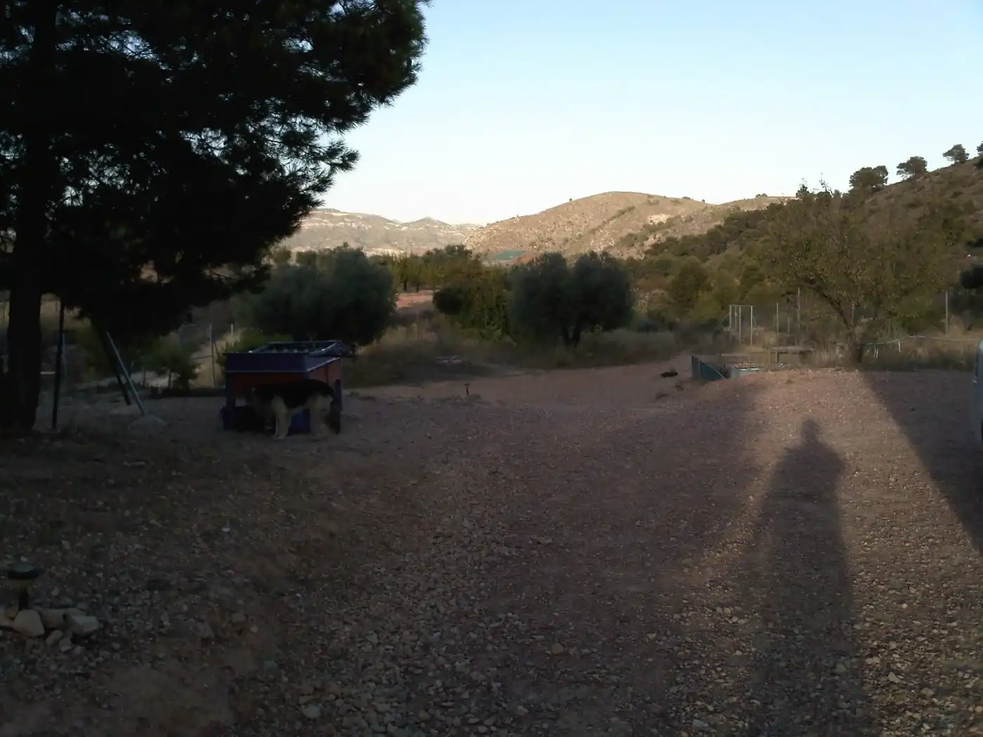 Wohnbaugrundstück zum Verkauf in Monóvar  / Monòver, imagen 19