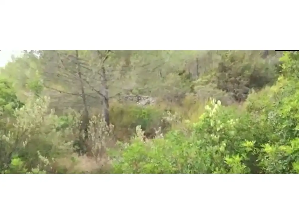 Terreny rústic en venda a Sant Antoni de Portmany, imagen 2