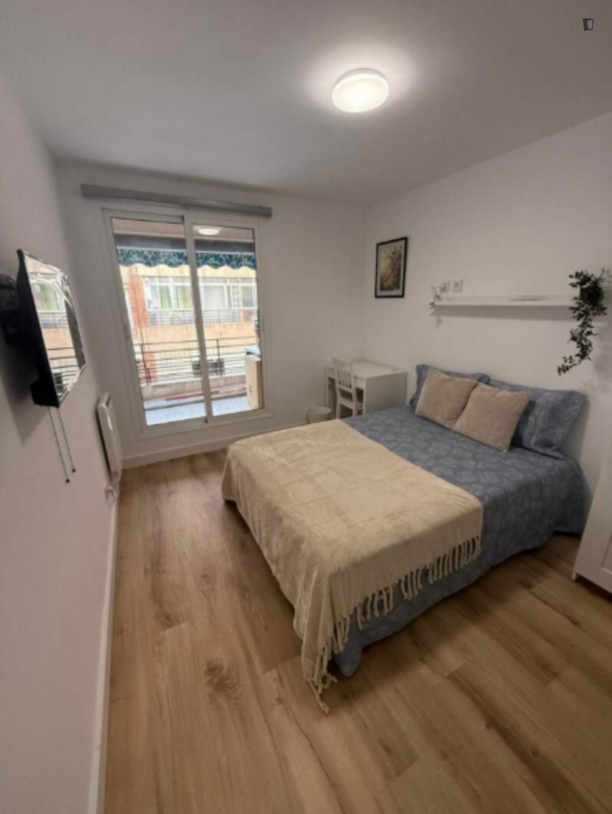 Apartament per a compartir a Carolinas Altas