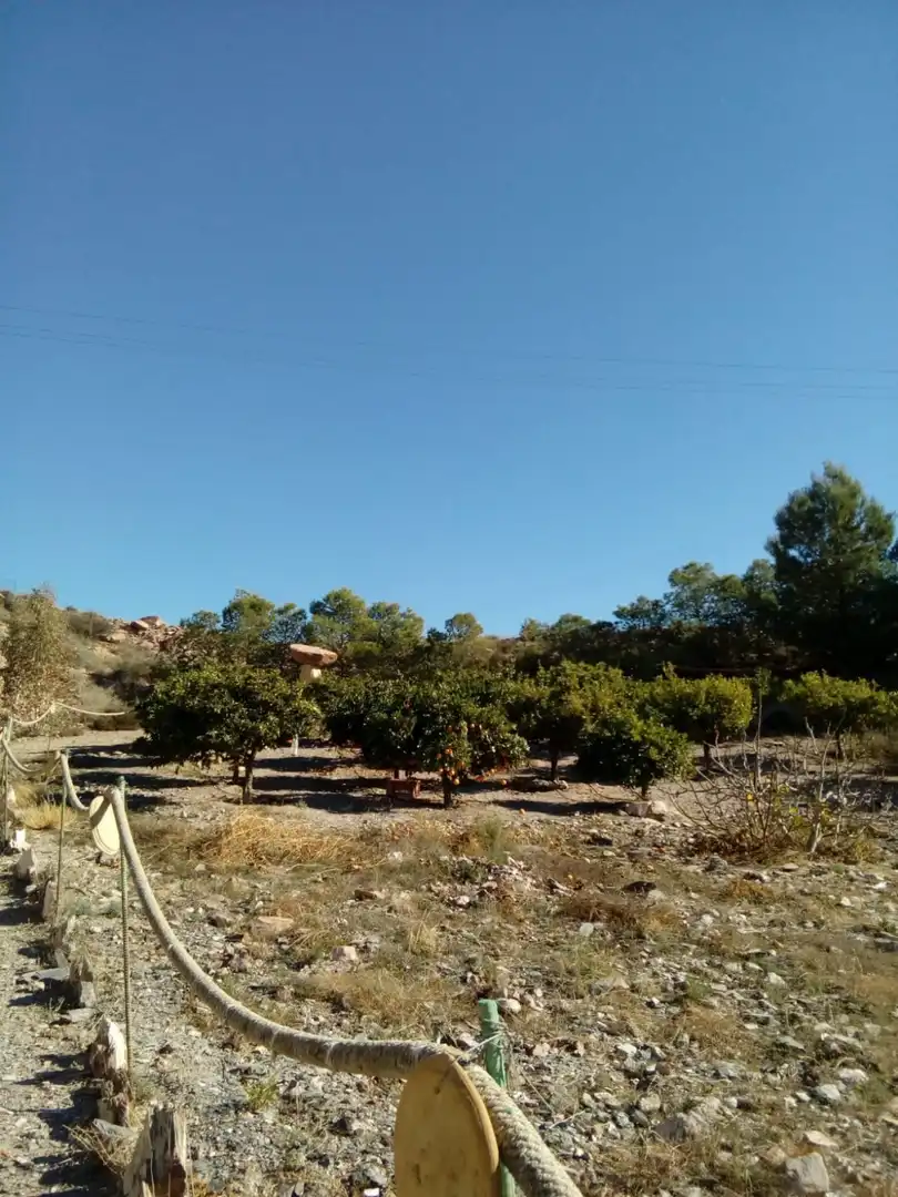 Casa rústica amb jardí en venda a Tébar - Los Arejos, imagen 17