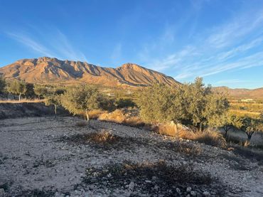 Terreno rustico in vendita a Abanilla - Paraje Chicamo