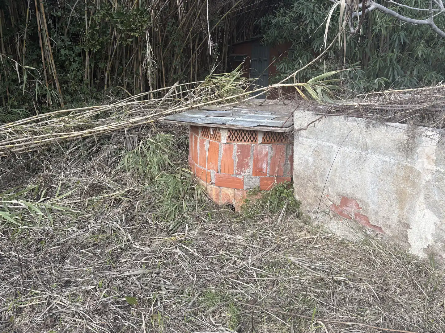 Exterior view of Land for sale in Llançà
