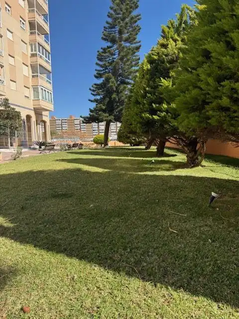 Garden of Flat for rent in El Campello  with Air Conditioner, Terrace and Furnished