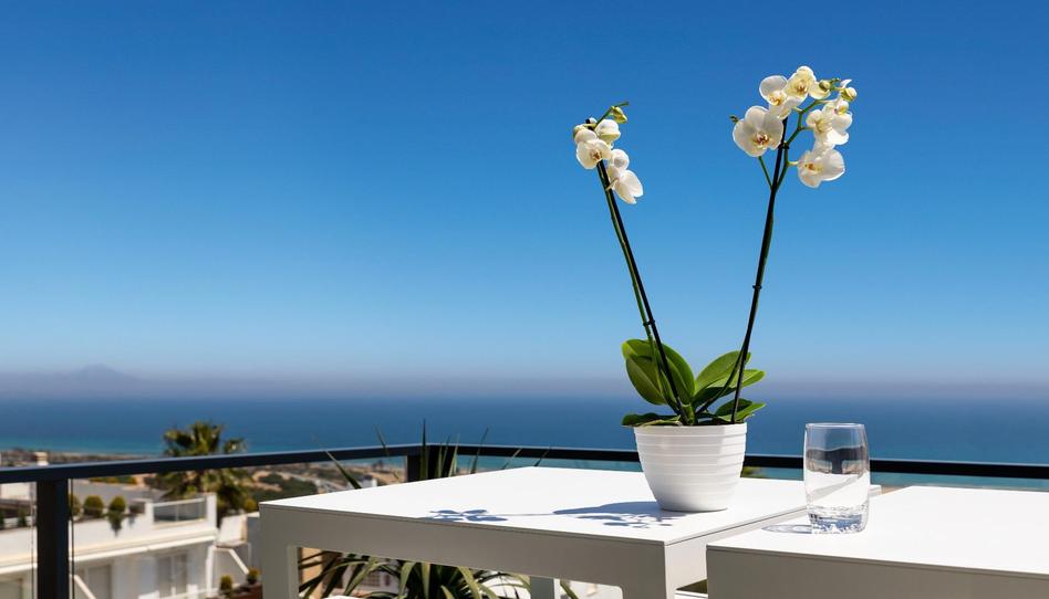 Photo 1 of Planta baja for sale in Monte y Mar, Alicante