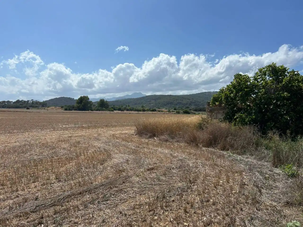 Wohnbaugrundstück zum Verkauf in Sa Pobla, imagen 6