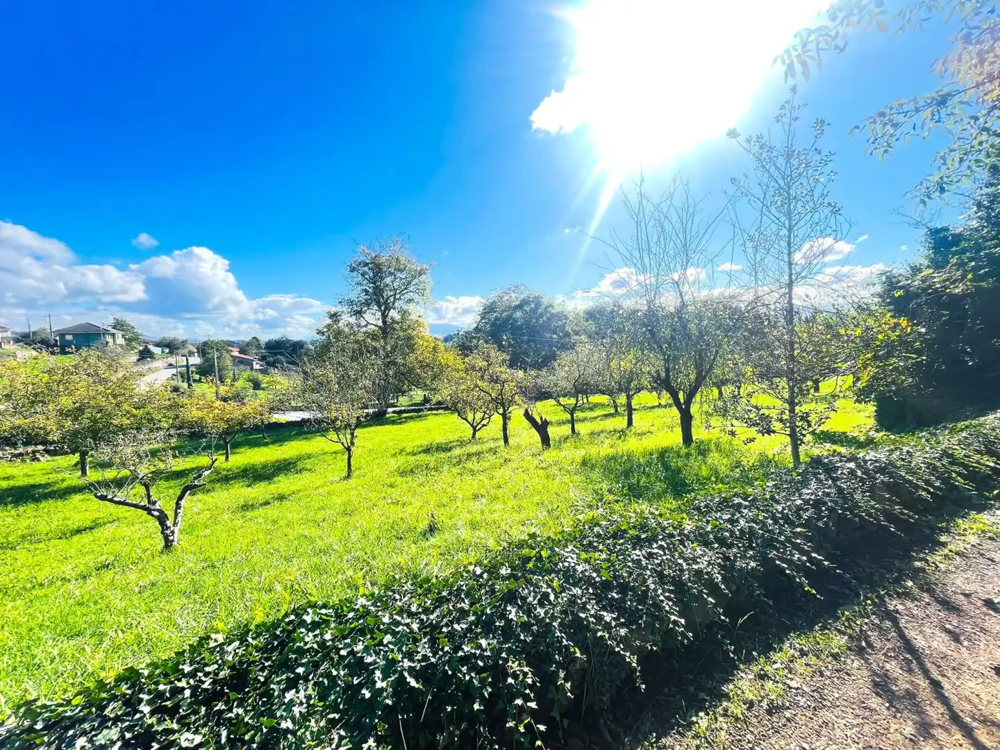 Casa o xalet en venda en Llanera amb Traster