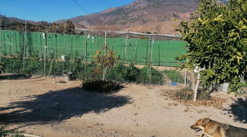 Photo 3 of Country house for sale in Dalías, Almería