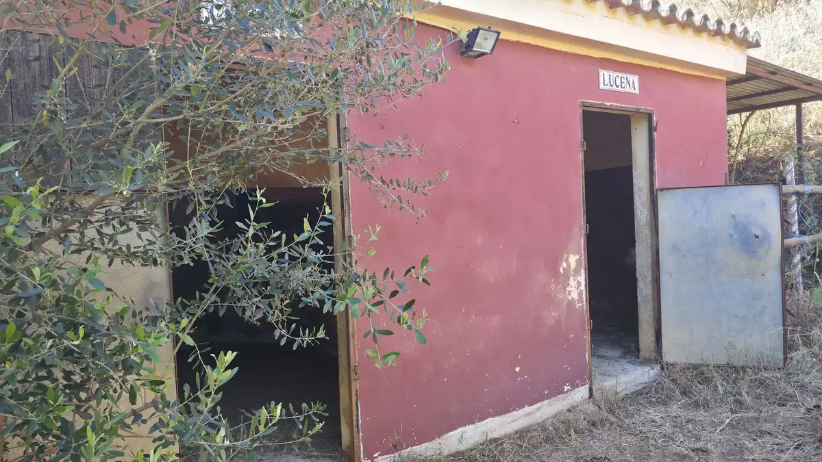 Casa con jardín en venta en La Cala Golf - Lagar Martell, imagen 38