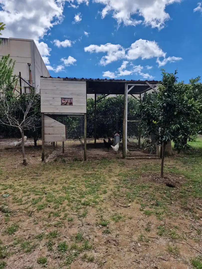 Jardí de Casa o xalet en venda en Córdoba amb Aire condicionat, Calefacció i Jardí privat