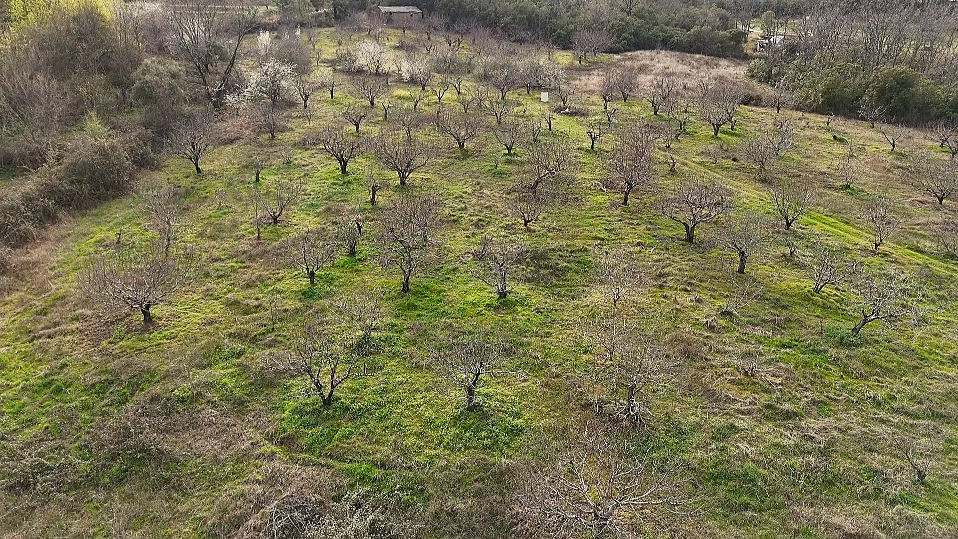 Terreno en venta en Collado de la Vera