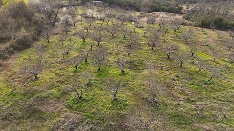 Foto 5 de Terreno en venta en Calle San Antonio, 7, Collado de la Vera, Cáceres