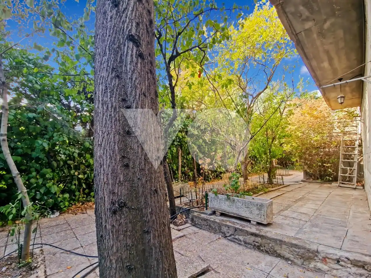 Vista exterior de Planta baja en venta en Madrid con Aire acondicionado, Calefacción y Parquet