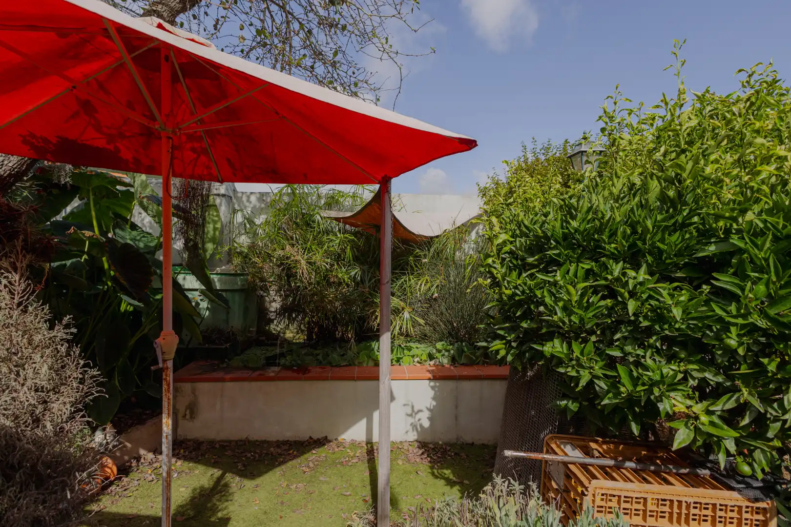 Terrassa de Casa o xalet en venda en Guamasa - El Ortigal - Los Rodeos