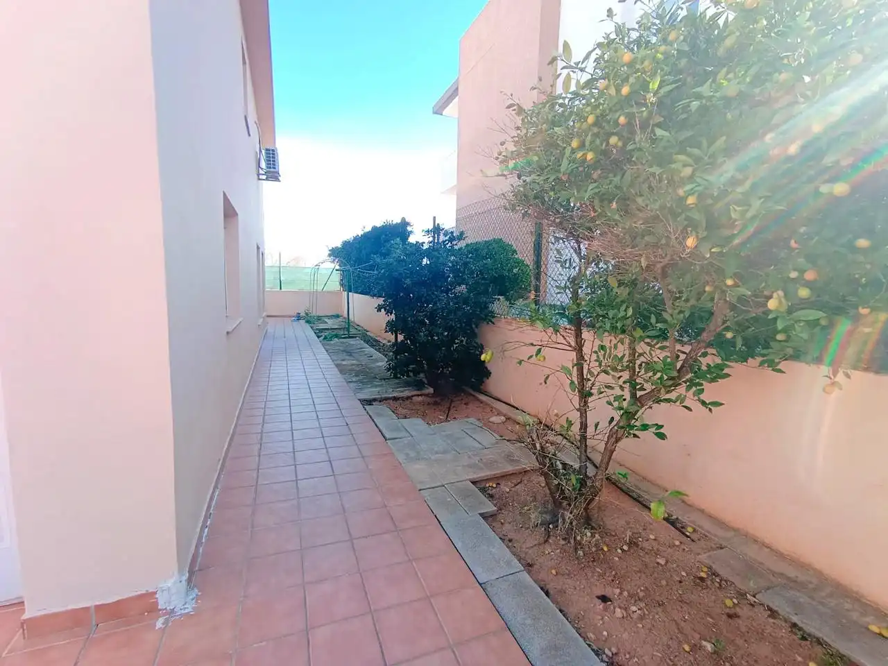 Terrassa de Casa o xalet en venda en Oliva amb Aire condicionat, Jardí privat i Terrassa