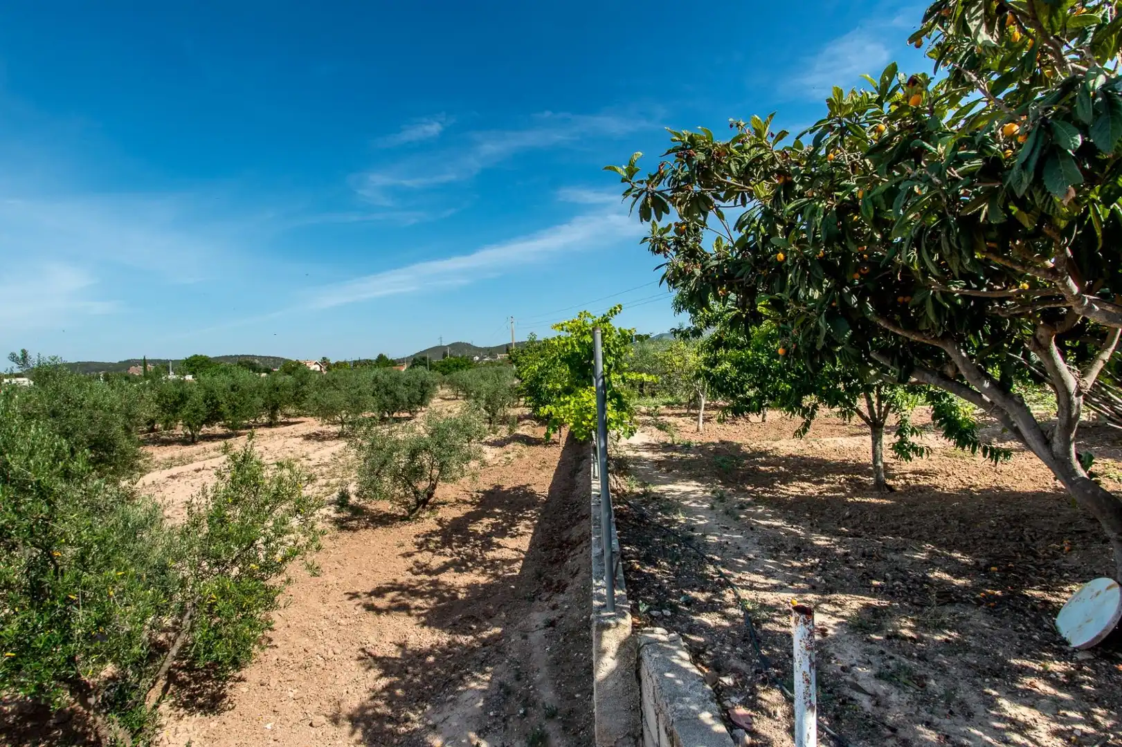 Casa o xalet en venda en Cehegín amb Piscina i Moblat
