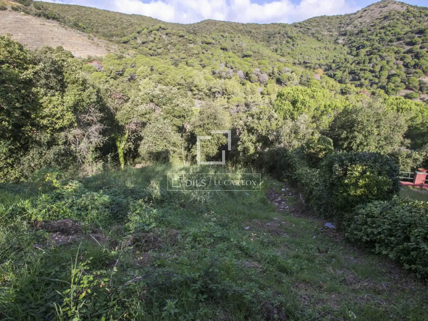 Terrain rustique à vendre à Alella, imagen 6
