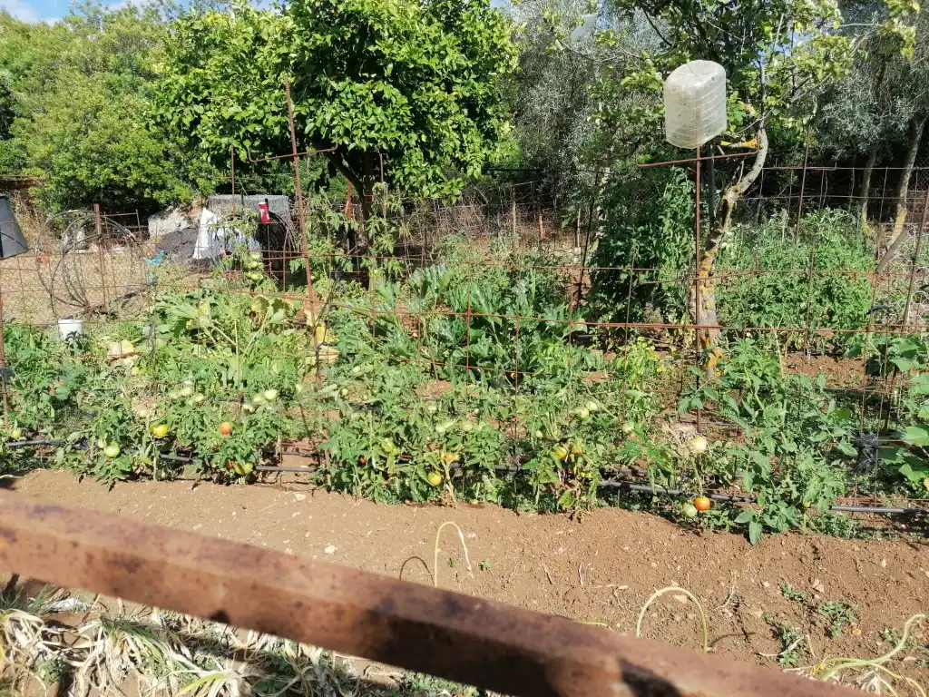 Casa rústica en venda a Arcos de la Frontera, imagen 24