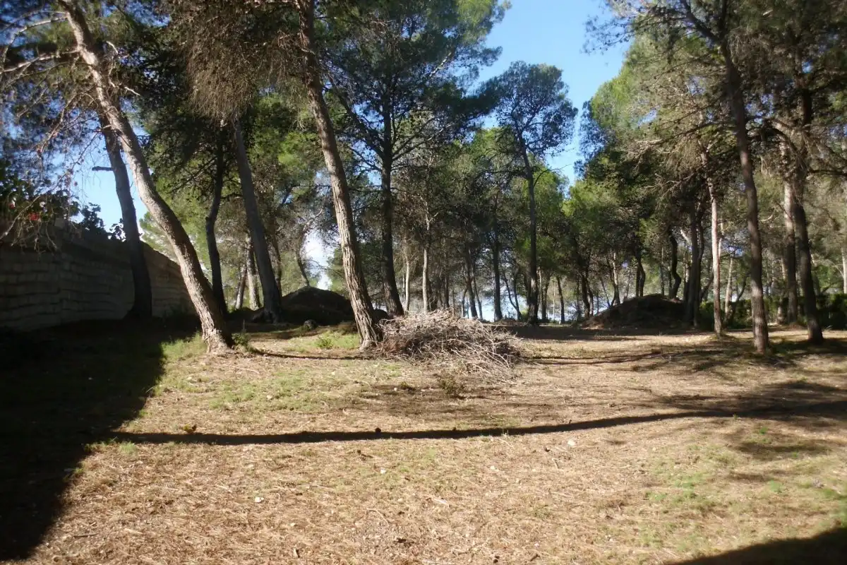 Rural land for sale in El Pilar, imagen 2