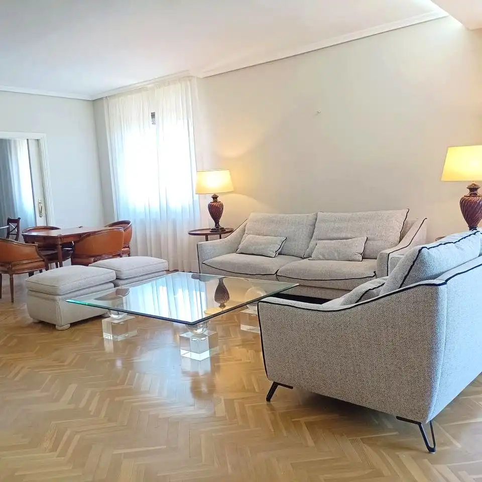 Living room of Flat for rent in Madrid  with Air Conditioner, Heating and Parquet flooring